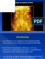 Radiologia Del Aparato Urinario123456