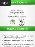 Sistema Endocrino