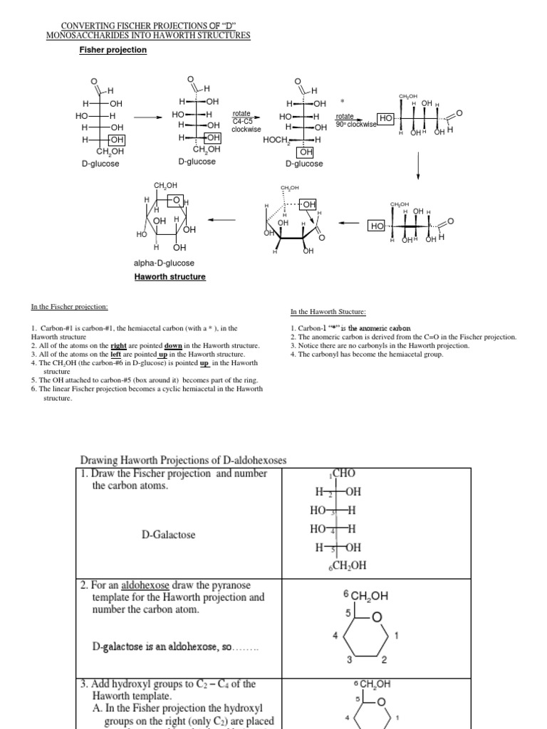 Drawing Haworth Projections Biomolecules Physical Sciences