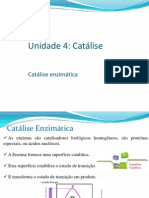 _catalise(1)