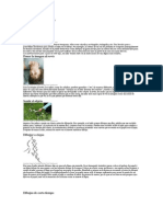 Usar Formas Geométricas