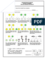 Taller de Genetica Humana