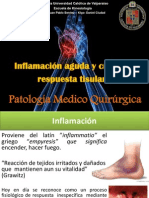 Inflamacion y Reparacion Tisular