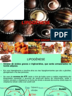 Lipogênese - síntese de ácidos graxos e triglicerídios