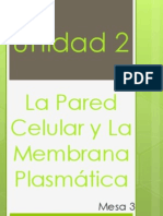 Unidad 2. - La Pared Celular y Membrana Plasmática