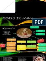 Leichmania Expo