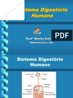 Sistema Digestório Humano