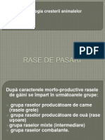 Rase de Pasari