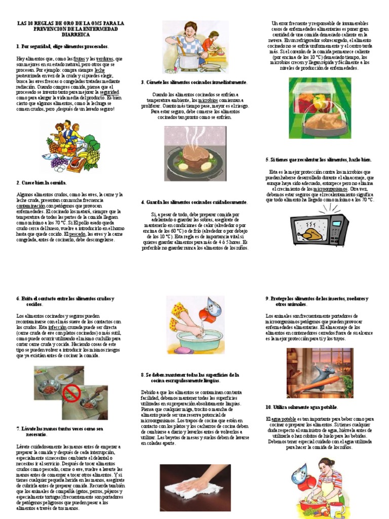 10 Reglas de Oro de la OMS para Alimentos | PDF | Carne | Alimentos