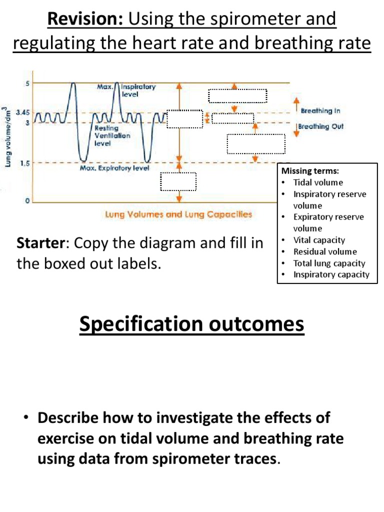Using the Spirometer and Regulating the Heart Rate and Breathing Rate