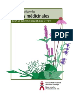 Un Guide Pratique Des Plantes Médicinales Pour Les Personnes Vivant Avec Le VIH