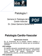 Patología CV