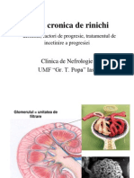 Curs Progresie IRC 2009