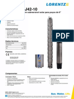 Lorentz PS21k C-sj42-10 Pi Pt Ver3081