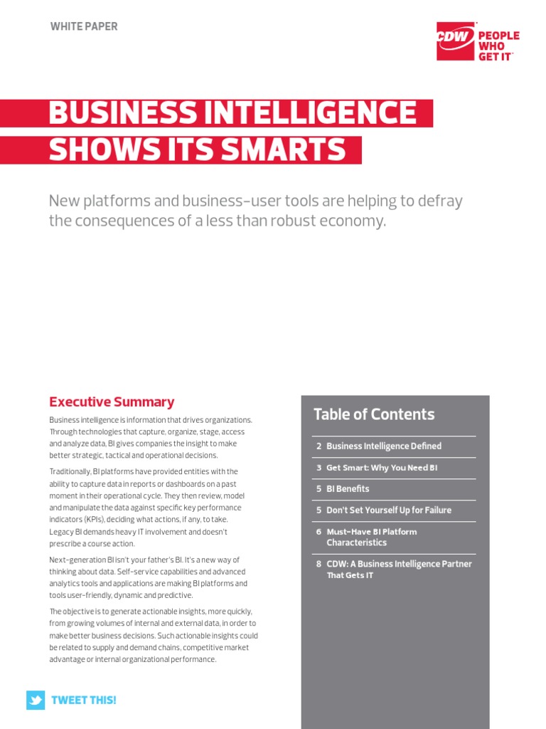 Bi PDF | PDF | Business Intelligence | Analytics