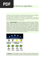 A Influência Da Lua Na Agricultura