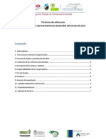 Términos de Referencia Oportunidad de Negocio - Uso Sostenible Del Corozo de Lata