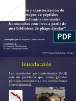 Phage Display Seminario Enero 2014 2.0