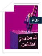 Gestion Por Procesos