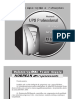Manual UPS Professional