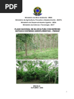 PENSAF - Plano Nacional de Silvicultura