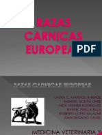 Razas Carnicas Europeeas