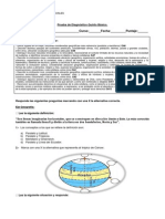 Prueba de Diagnóstico Quinto Básico