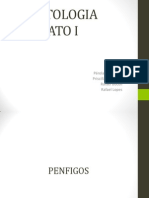 Dermatologia: Pênfigos e Pênfigóides