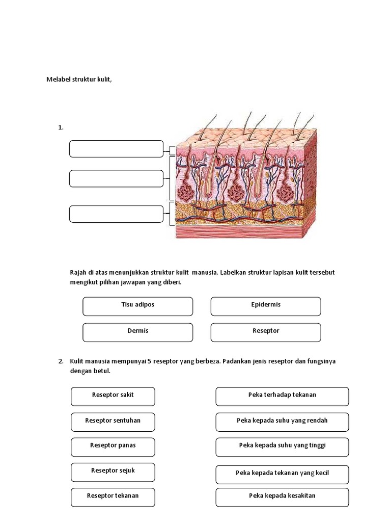 Soalan Sains Tingkatan 2 Pdf