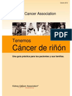 WeHaveKidneyCancer2012 Spanish