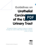 Urothelial Carcinomas of The Upper Urinary Tract: Guidelines On
