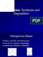 Nucleotides: Synthesis And: Degradation