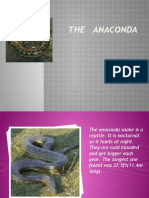 The Anaconda: By: Nika
