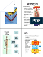 Sistemas Linfático e Excretor I