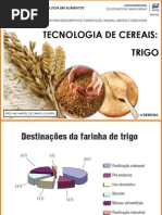 Aula 2 - Tecnologia de Cereais - Trigo (1)