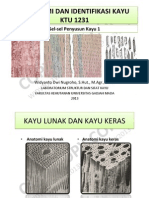 Anatomi Dan Identifikasi Kayu - Pertemuan 6 (Sel-Sel Penyusun Kayu 1)