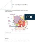 Cuidado e Higiene de Los Órganos Sexuales y Reproductivos