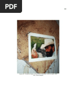 Marcelo Matos Parte 4