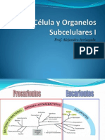 La Célula y Organelos Subcelulares I