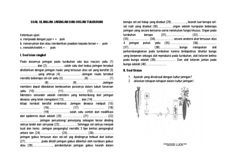 Contoh Soal Biologi Kelas 11 Tentang Jaringan Tumbuhan Guru Paud