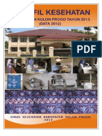 Profil Kesehatan Tahun 2013 Data 2012