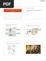 Aula 1- Introdução e Raiz