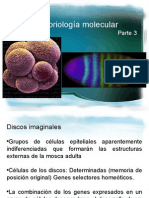 Embriología Molecular 3