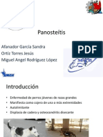 Panosteítis