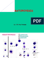 Hematopoyesis