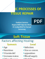Biologic Process of Wound Repair