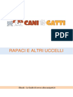 Rapaci e Altri Uccelli