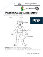 El cuerpo humano: sistemas y órganos