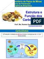 5. Estrutura e Função Dos Carboidratos - Rosiane Gomes