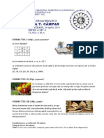 SUBIECT CLS3 -2014 Florica t Campan